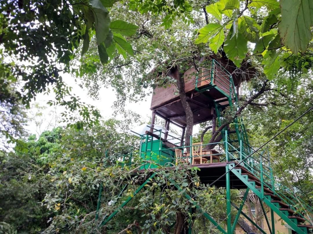 Willa Wildescape Polonnaruwa Zewnętrze zdjęcie