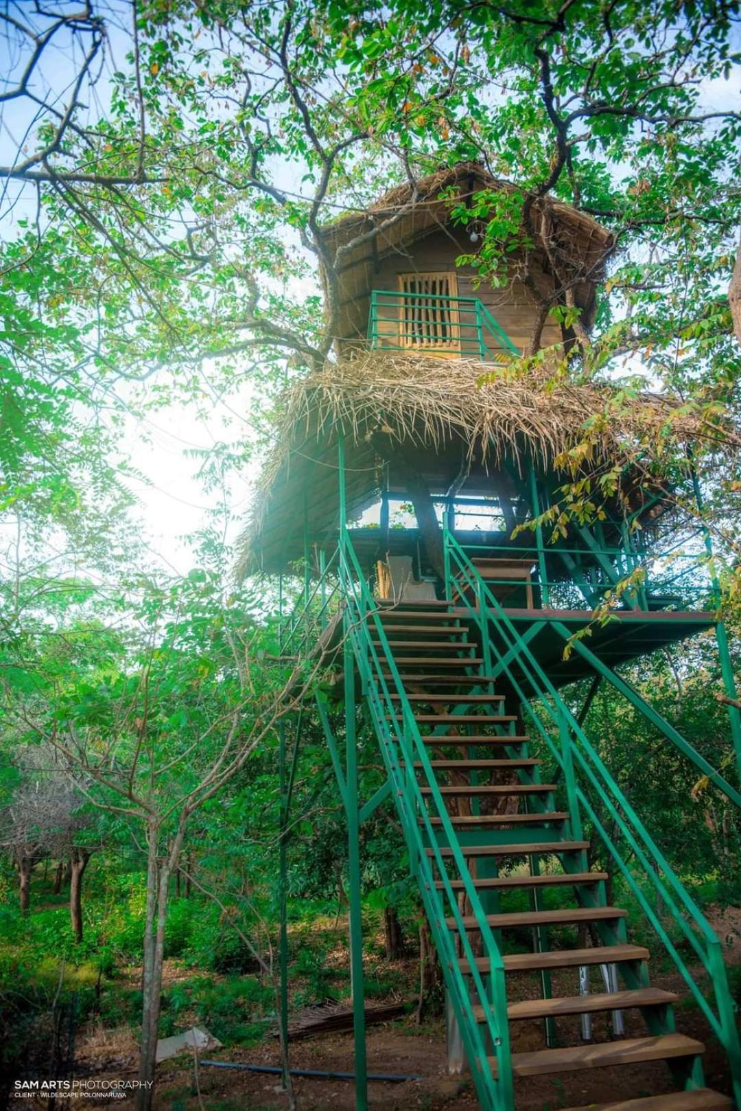 Willa Wildescape Polonnaruwa Zewnętrze zdjęcie