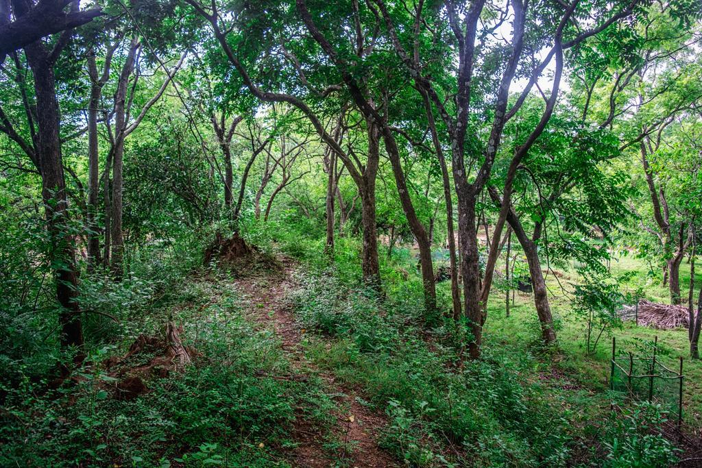 Willa Wildescape Polonnaruwa Zewnętrze zdjęcie