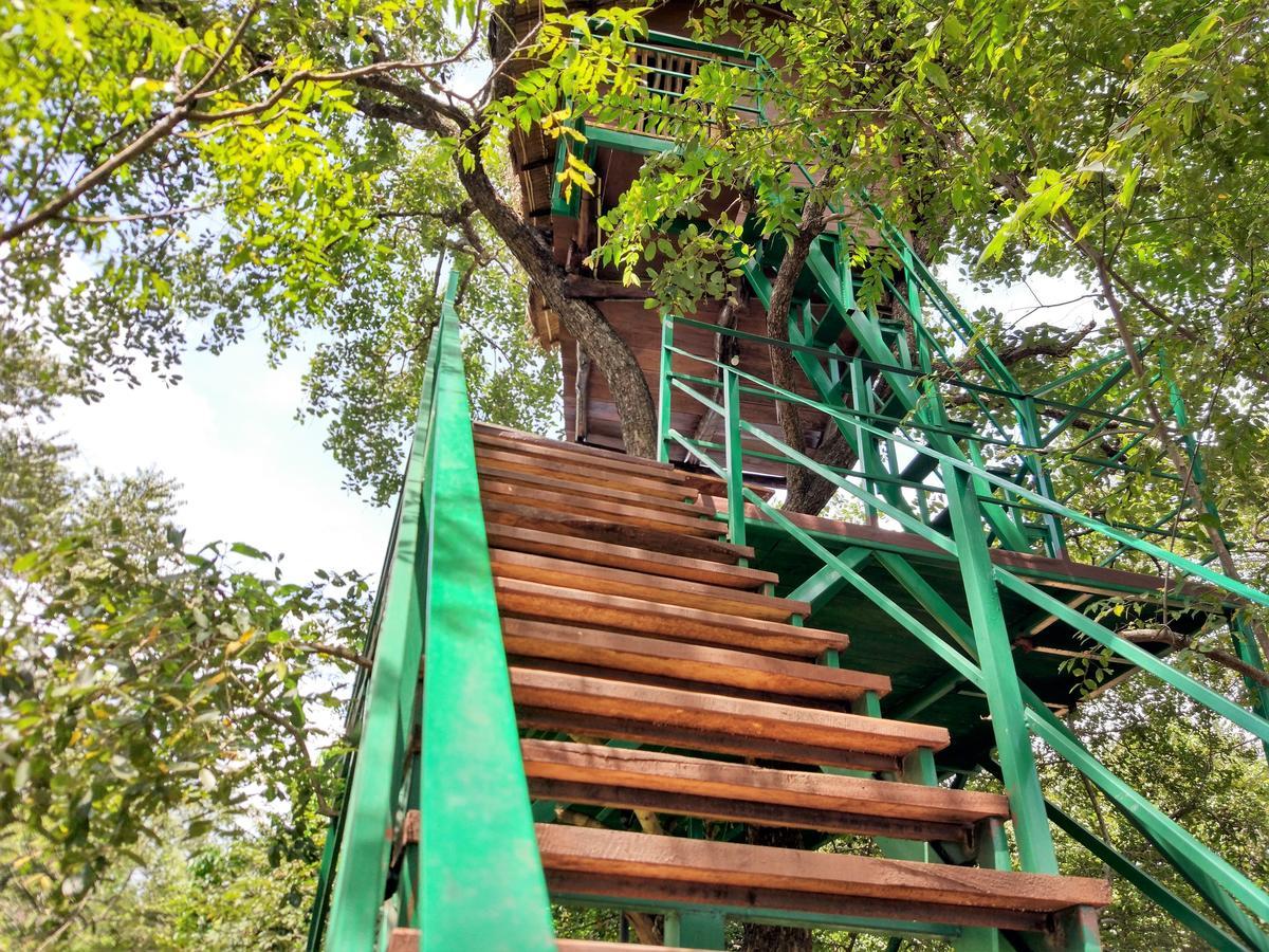 Willa Wildescape Polonnaruwa Zewnętrze zdjęcie
