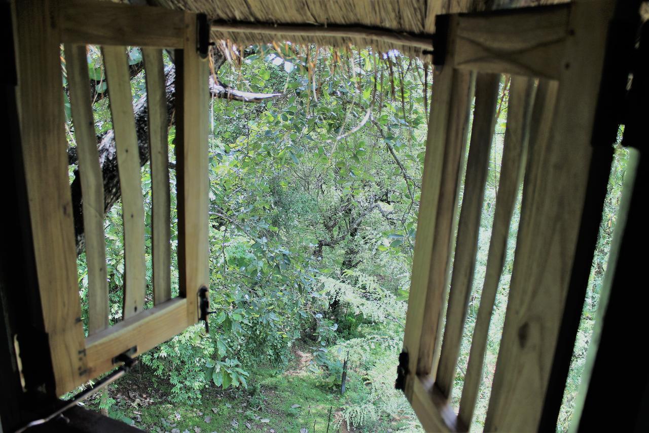 Willa Wildescape Polonnaruwa Zewnętrze zdjęcie
