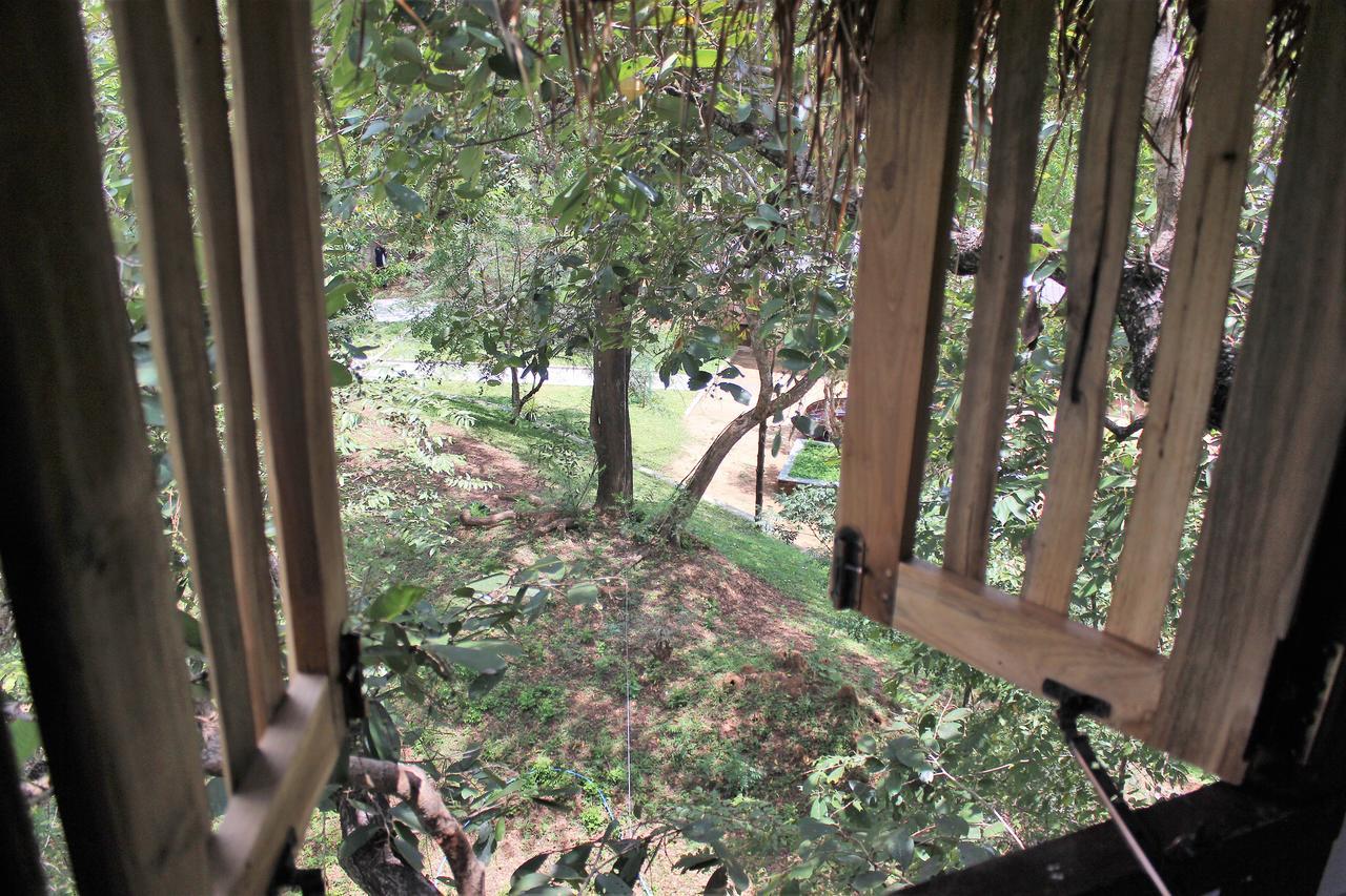 Willa Wildescape Polonnaruwa Zewnętrze zdjęcie